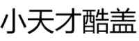 小天才酷盖