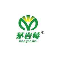 茅岩莓