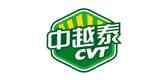 cvt中越泰